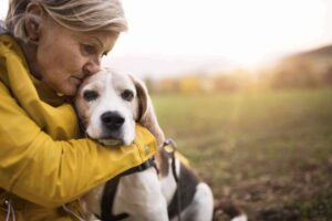 Woman cuddles with senior beagle. As your dog ages and becomes ill, it becomes important to evaluate your dog's quality of life using a know when to put your dog down checklist.