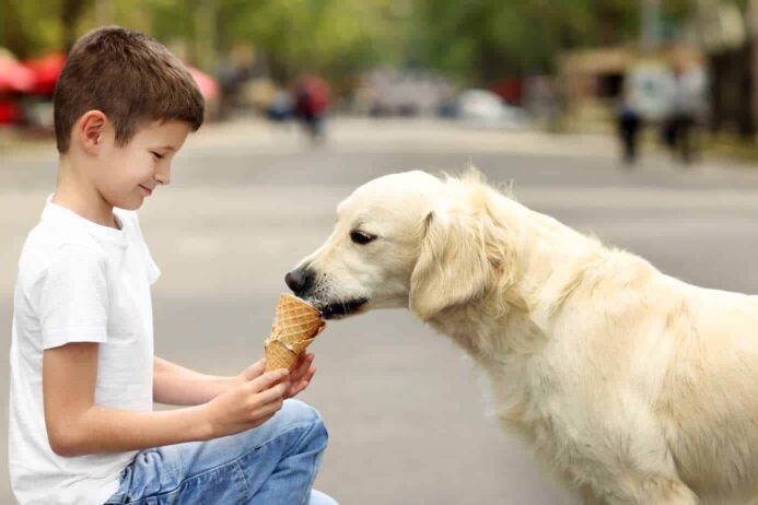 Boy feeds golden retriever ice cream.