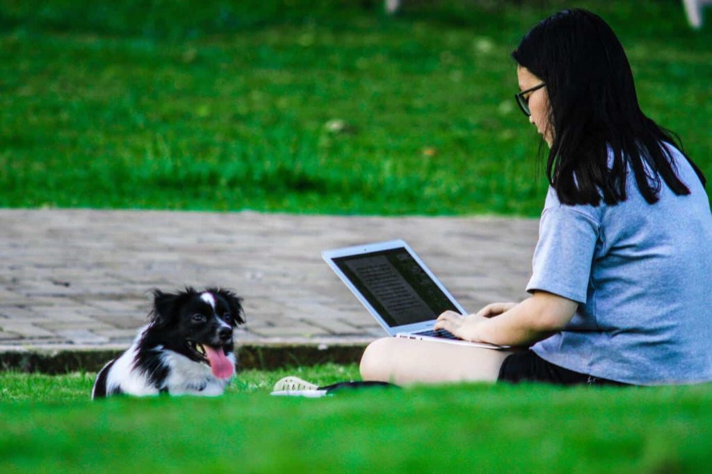 Student studies while small dog lounges on the grass. Before you take your dog to college, consider whether you'll have the time and financial resources to give your dog proper care.