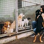 A woman hugs two dogs at a shelter.  When you adopt a shelter dog, she finds out as much as you can about that dog (i.e. his personality, background, health history, etc.)