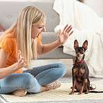 Angry woman yells at her miniature pinscher. Your tone of voice and volume play a significant role in your dog's development and how you bond. Yelling at your dog can make your dog nervous and fearful.