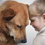 Girl cuddles with golden retriever. For many kids, a dog death is their first experience with serious loss and grief. Although everyone grieves differently, you can help your children cope.