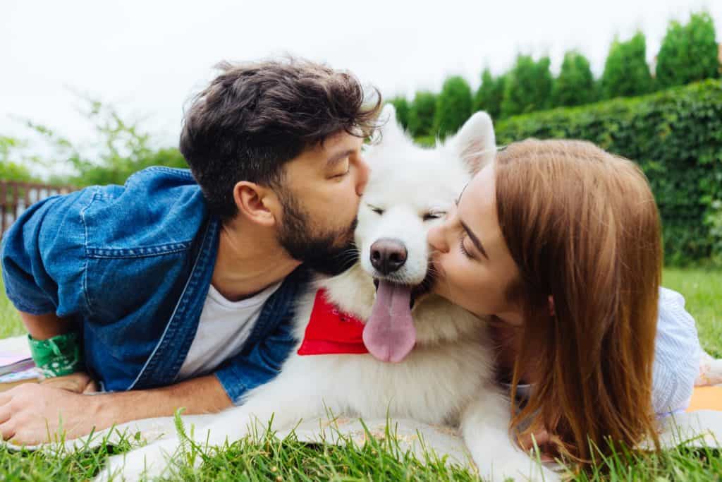 Man and woman both give a white samoyed a kiss. Dog co-parenting allows dog owners to split costs and allows the dog to be with the owner who has the most free time to give.