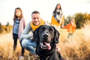 Happy black Labrador retriever with family. Dogs help owners be happier and healthier. Research shows having a dog makes people live longer, feel less stress, and experience fewer health issues.