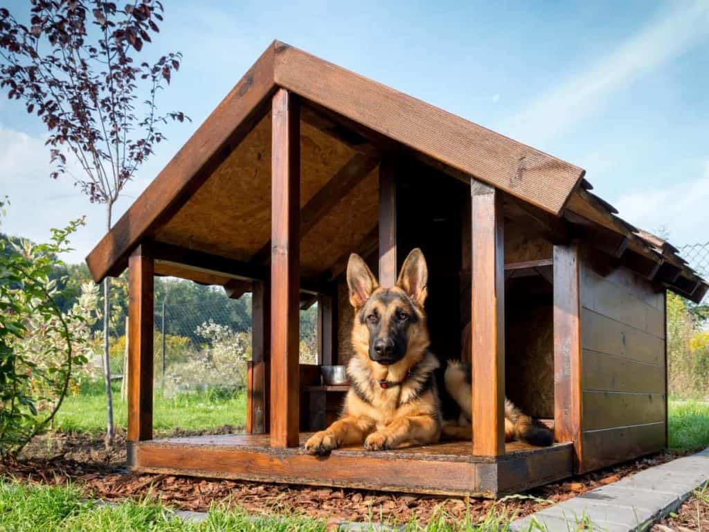 German shepherd lounges in a dog house. A doghouse provides a sense of security, a run or dog fence helps your dog exercise, and a wash station allows you to keep them clean.