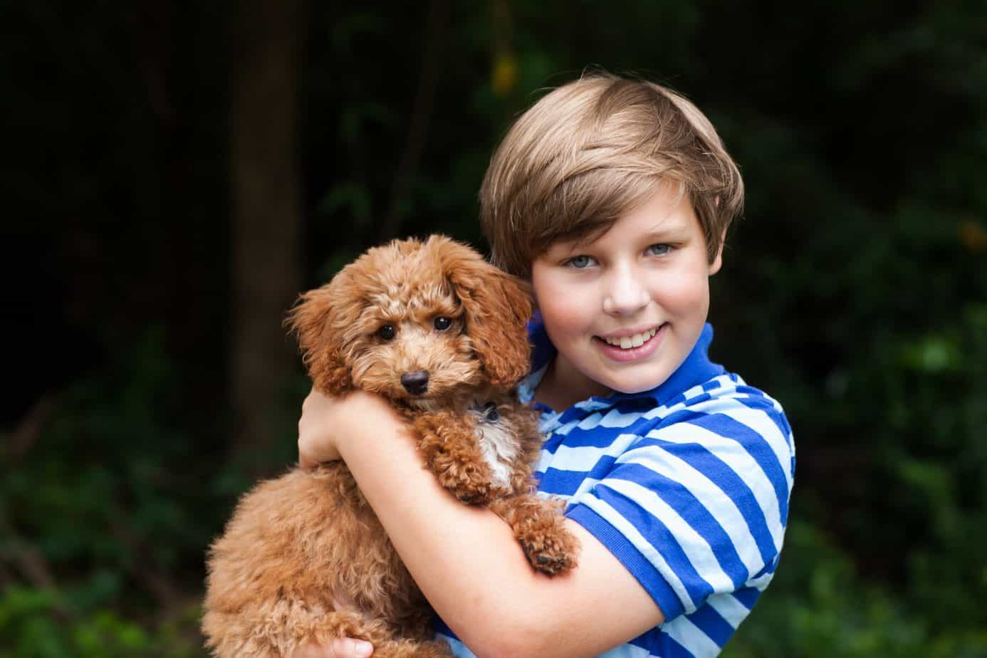 Boy hugs miniature poodle. Are poodles good with kids? Yes, their natural easy-going temperament makes them ideal companion animals. .