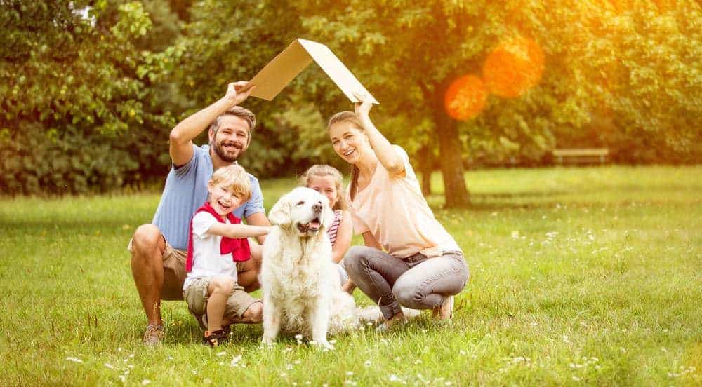 Family plays with a golden retriever. Family-friendly dog breeds: Consider a bulldog, beagle, collie, poodle, or a golden retriever. Picking the wrong breed can lead to accidents or injuries.