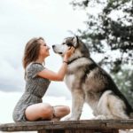 Woman pets large Siberian Husky.