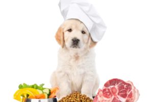 Use quality ingredients to make homemade dog food.