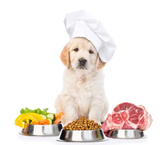 Use quality ingredients to make homemade dog food.