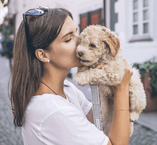 Woman kisses goldendoodle puppy