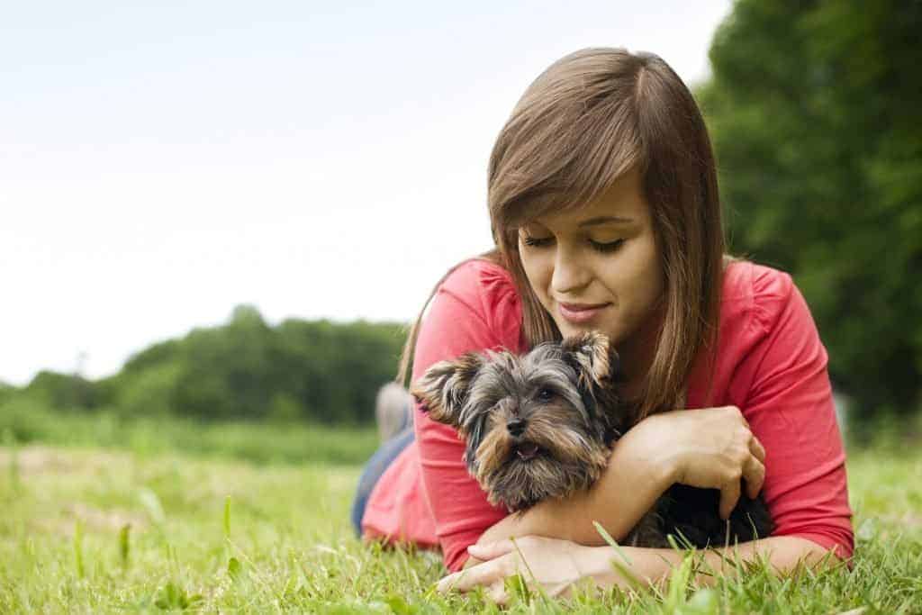 Woman cuddles with Yorkshire Terrier puppy. Select the right dog breed according to your personality by determining the size, energy level, intelligence level, bark level, and friendliness level.