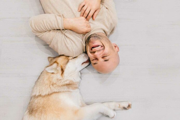 Husky kisses owner. Use these five healthy dog care tips to ensure your pup lives a long and happy life.