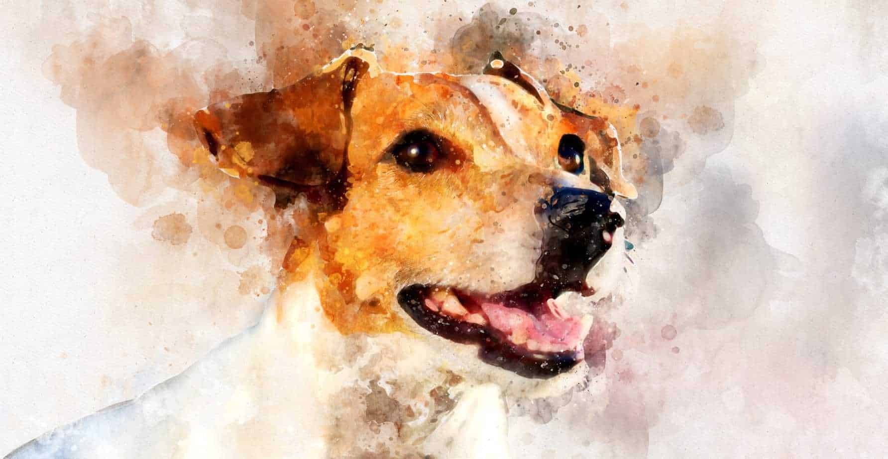 Painted portrait of Jack Russell Terrier. Immortalize your pet with something special like a portrait, a donation to an animal shelter, a tree planted in their honor, or a tattoo.