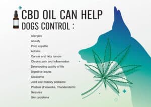 CBD supplements help manage anxiety, reduce pain