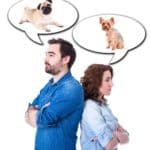 Young couple argues about dogs in photo illustration. When crafting a dog custody agreement, consider who has the most space and time to provide the best care for your dog.