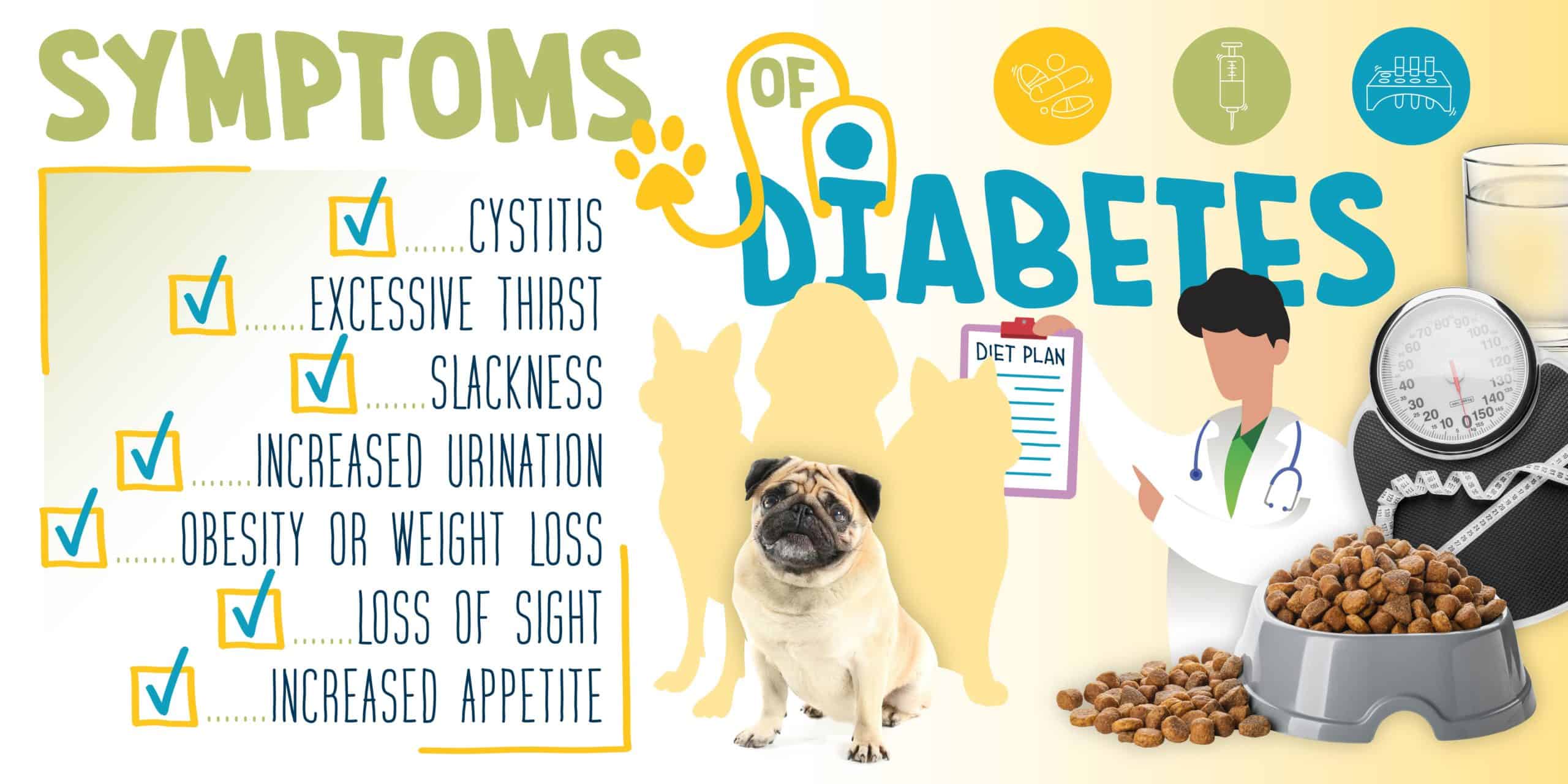 Diabetes mellitus in dogs is caused by impaired insulin secretion of the pancreas, insulin resistance failure, or both.