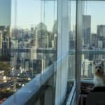 Cute Westie sits in apartment overlooking busy city. Help your dog adjust to city life by exposing it to cars, escalators, elevators, trains, trams, and buses.