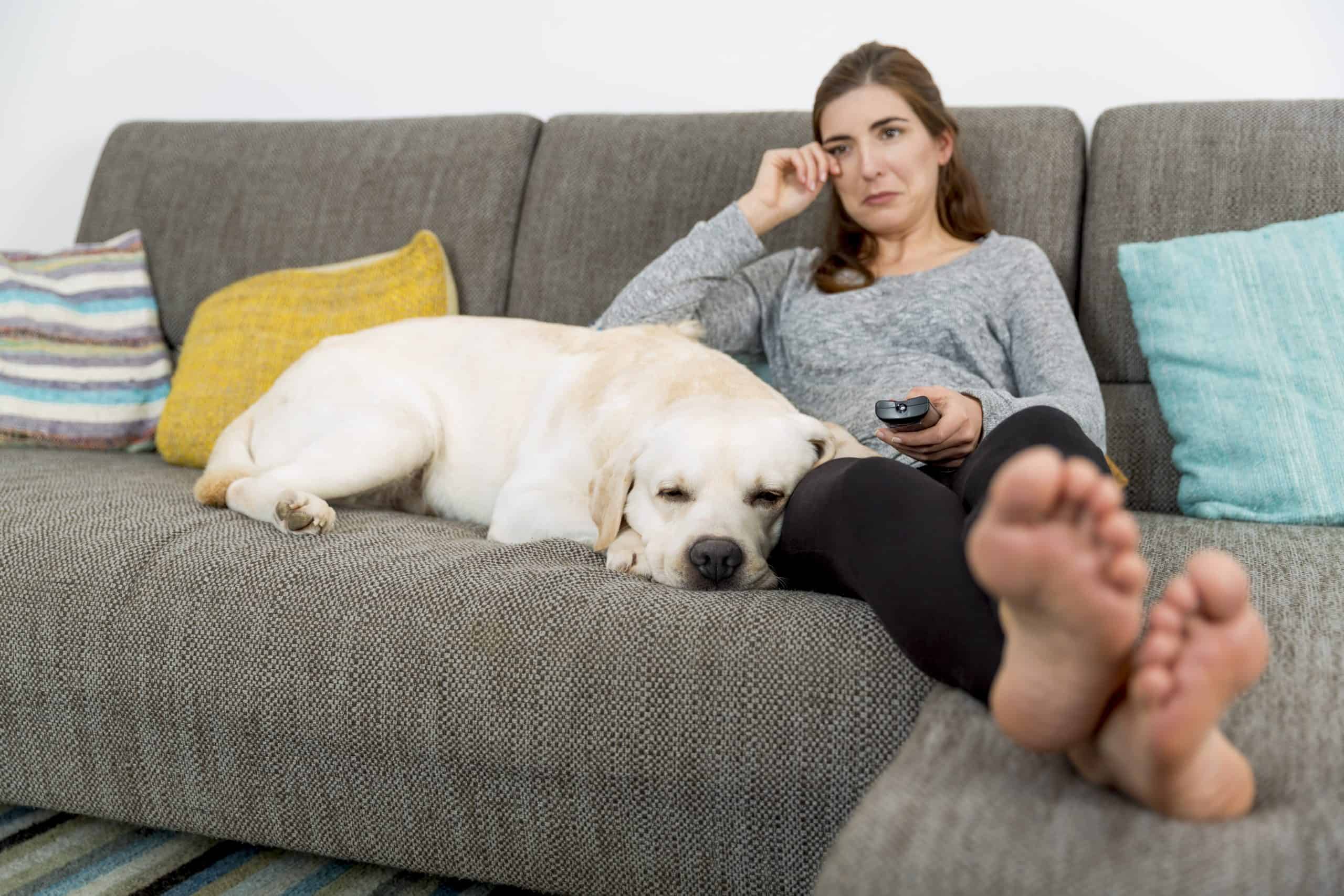 Woman sits on couch with Labrador retriever. With pet parents spending more time with their pets, the Banfield Pet Hospital study shows 33 percent think their dogs are happier and 35 percent are more playful than before the pandemic started.