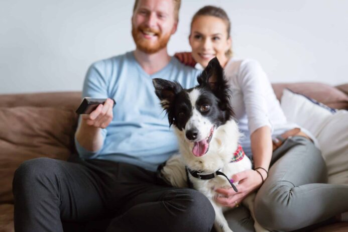 Couple snuggles on couch with Border Collie while watching TV. Being stuck at home reinforced the value of pet benefits for most owners. Our dogs provide unconditional love and are great listeners.
