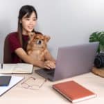 Woman works from home on laptop while holding her dog on her lap. Working from home with your dog: Set boundaries, entertain your dog, and train him to understand the new normal.