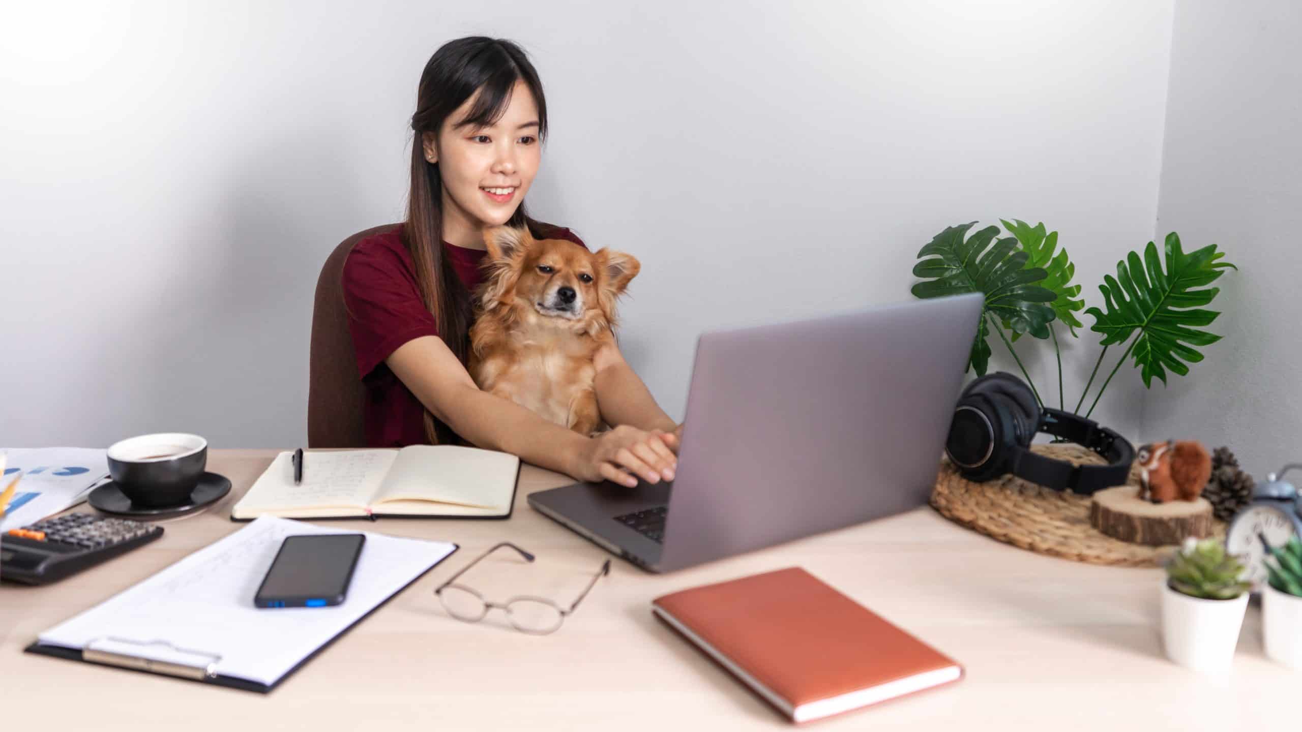 Woman works from home on laptop while holding her dog on her lap. Working from home with your dog: Set boundaries, entertain your dog, and train him to understand the new normal.