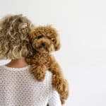 Woman with curly hair cuddles poodle mix puppy. Want to understand your (potential) partner's character? The dog breed he chooses reveals key personality traits.