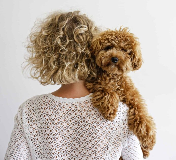 Woman with curly hair cuddles poodle mix puppy.