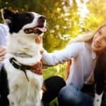 Couple plays with their border collies. Spending time with your dog provides opportunities to meet other people with similar interests.