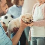 Man hands Golden Retriever puppy to girl. Before you get a child a dog, make sure you have the time, energy, and financial resources to care for a new family member.