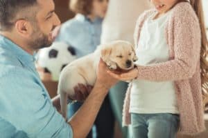 Man hands Golden Retriever puppy to girl. Before you get a child a dog, make sure you have the time, energy, and financial resources to care for a new family member.