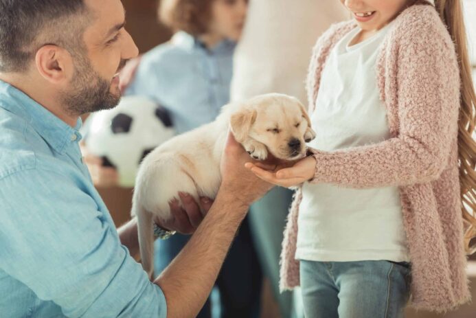 Man hands Golden Retriever puppy to girl.