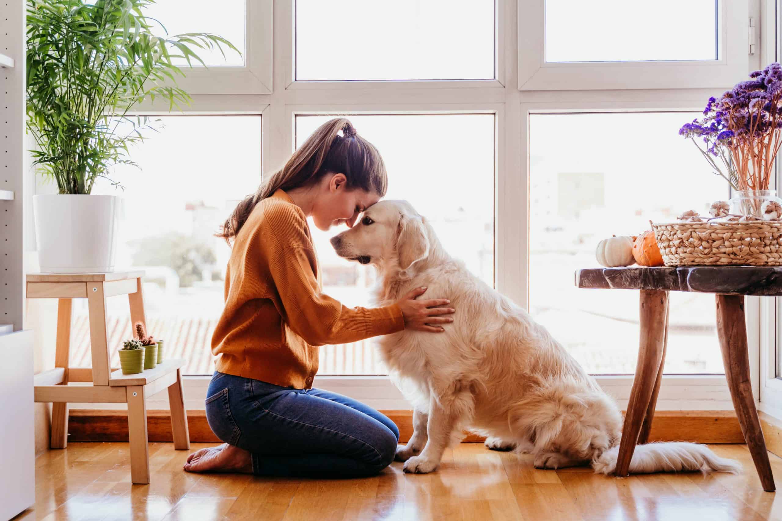 Do Pets Know When Their Owner Is Dying