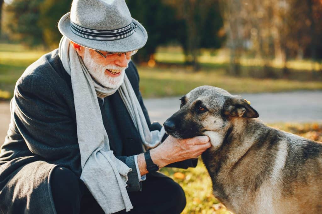 Older man pets dog. Make sure senior dogs get daily exercise.