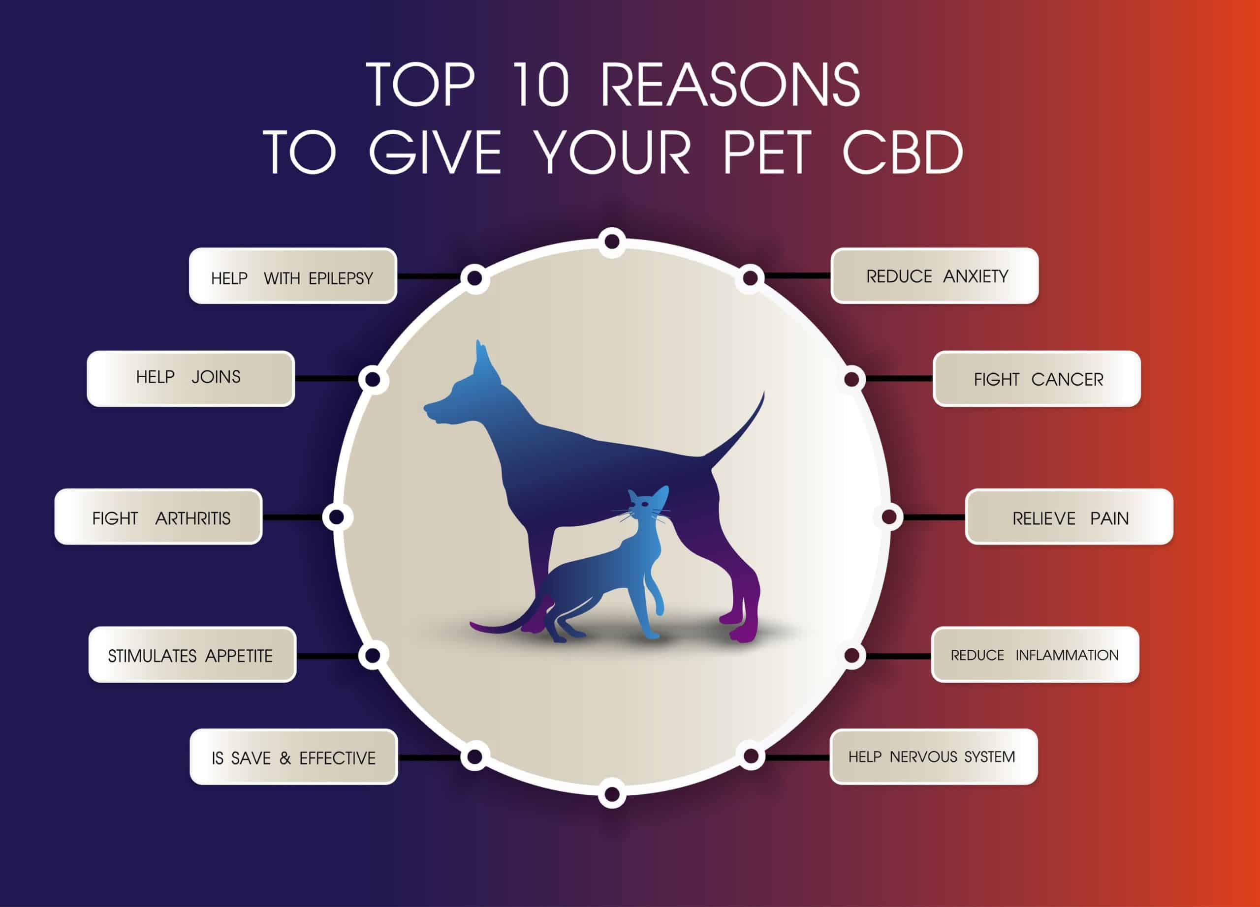 Graphic details benefits of CBD products for pets.