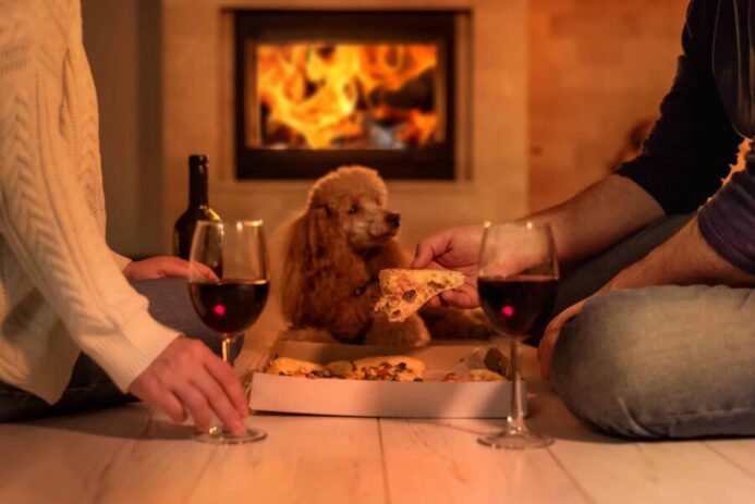 Poodle watches owners drink wine and eat pizza.