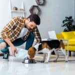 Man feeds beagle. Be aware of foods your dog should avoid eating because they are toxic and could potentially cause choking, weakness, or death. 