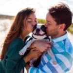Couple kisses their French bulldog while having a picnic on the beach. Movie dogs play cupid and help create romance in movies including Turner & Hooch, 101 Dalmatians, A Dog's Purpose, and Marley & Me.