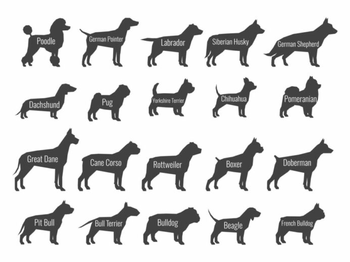 Dog tail shapes graphic