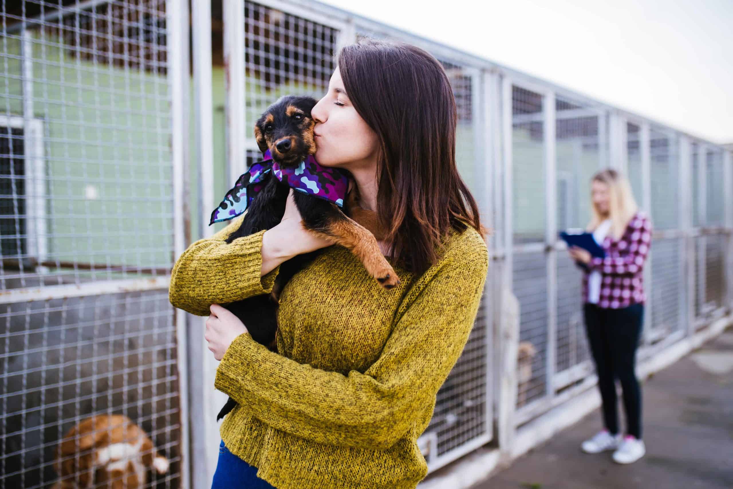 Woman kisses rescue dog at animal shelter.