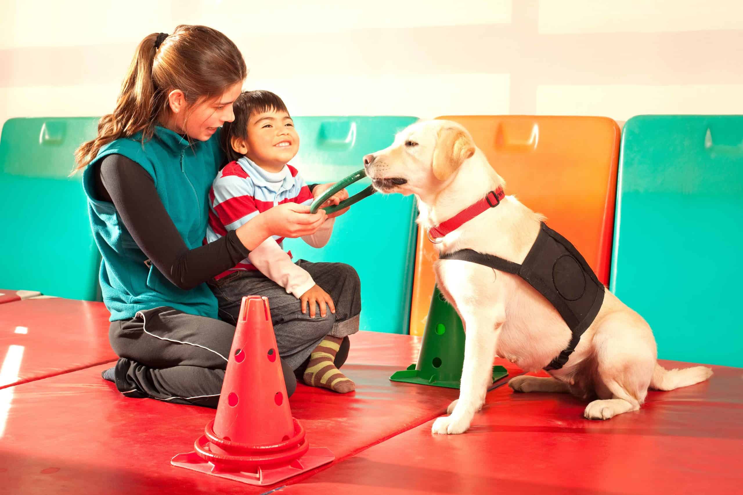 Therapist works with child and animal-assistance therapy dog.