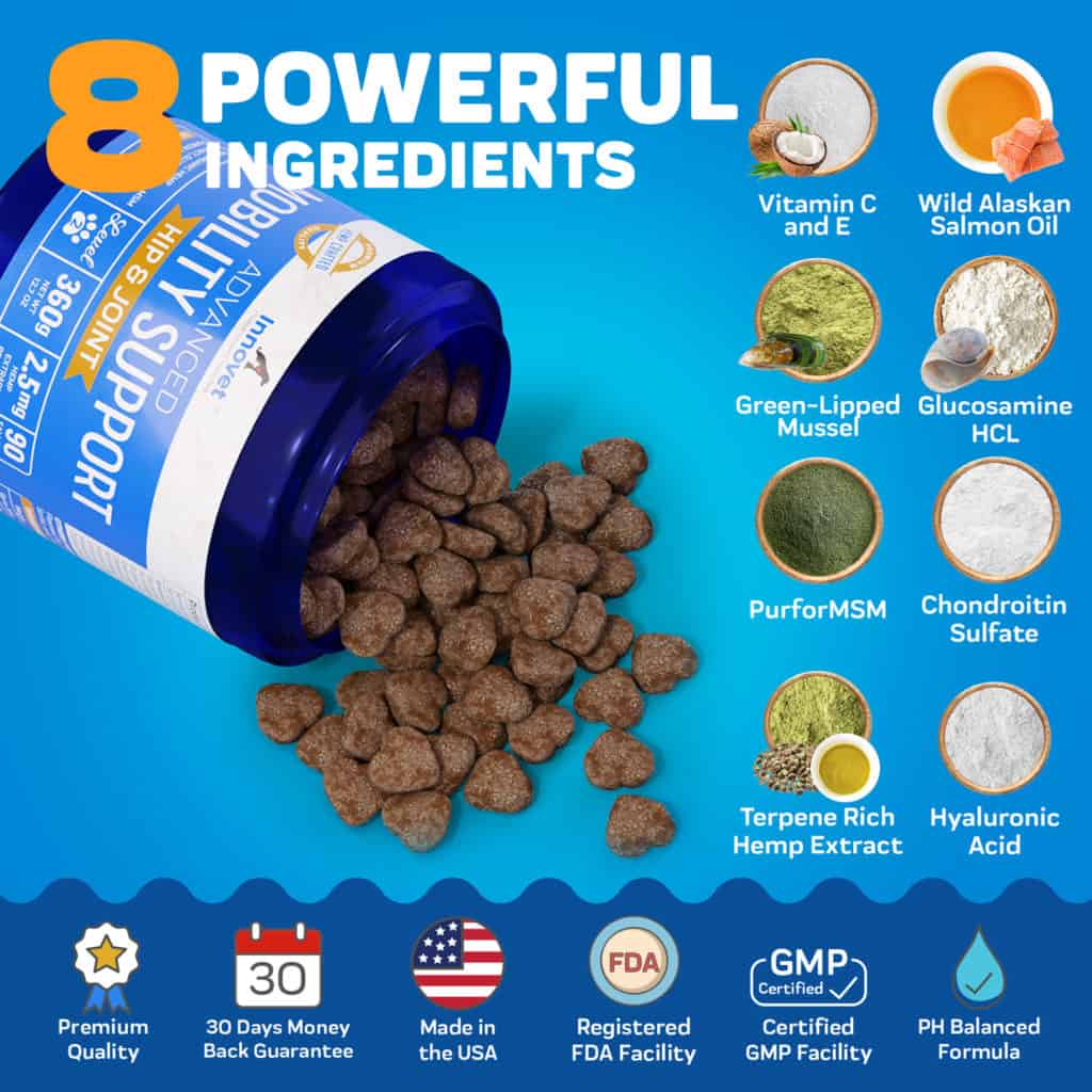 Mobility support chews reduce pain, improve mobility - Feeding Aids For Dogs With Mobility Issues