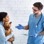 Vet talks to dog owner about her pet. When choosing between pet insurance brands, consider what you and your pet need to choose the one that will work best for you.
