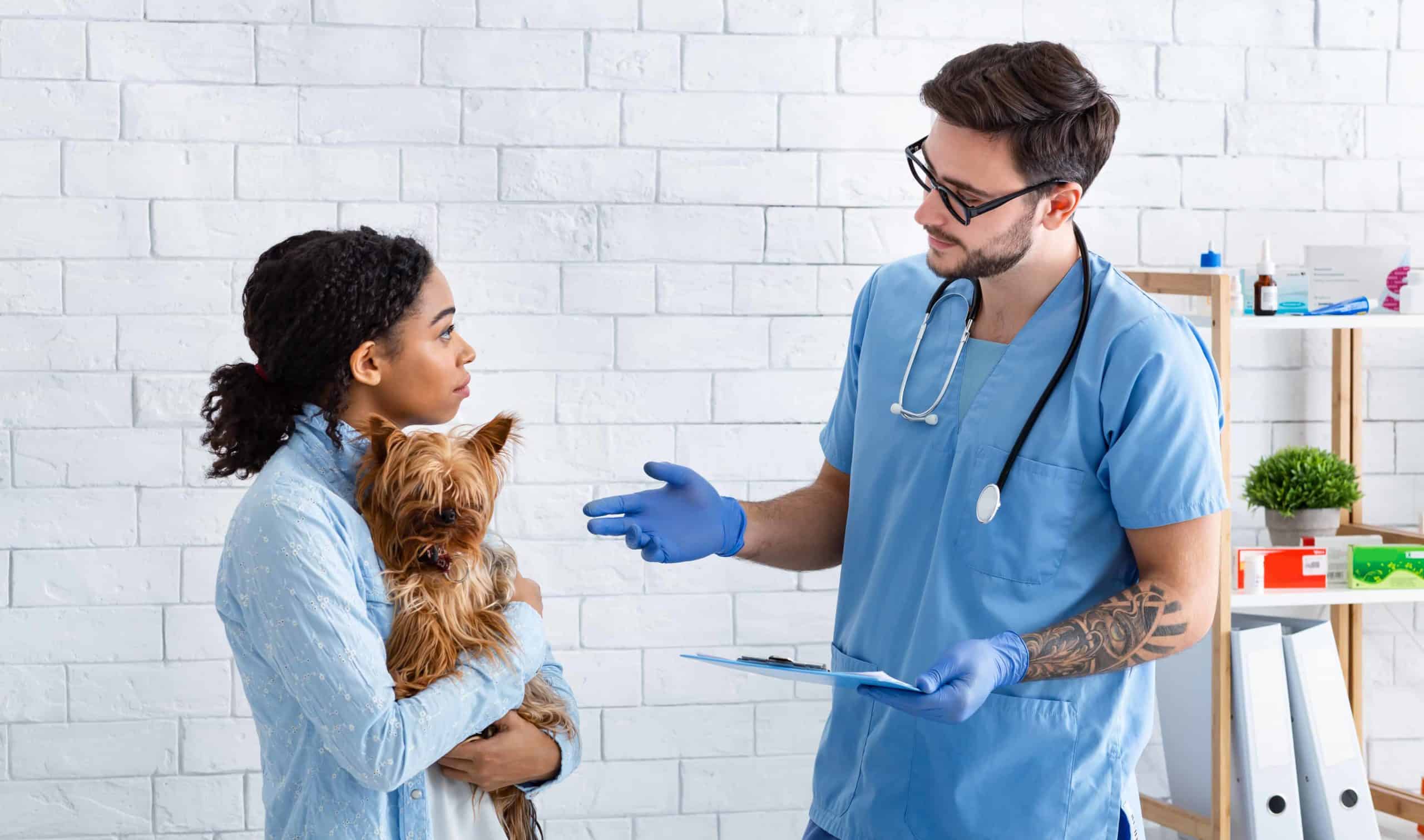 Vet talks to dog owner about her pet. When choosing between pet insurance brands, consider what you and your pet need to choose the one that will work best for you.