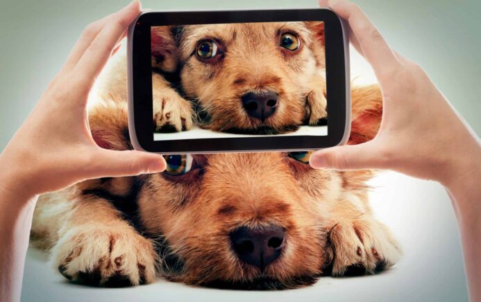 Owner takes photo of dog. Gaining popularity on social media like Instagram, Facebook using your dog's charisma is much easier because the content is genuine.