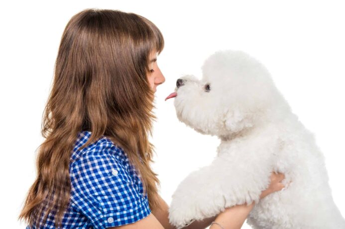 Young girl holds bichon frise.
