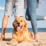 Happy couple poses with golden retriever at the beach. Start planning the perfect dog-friendly date. Consider biking, a trip to the dog park, a baseball game, or watching a sunset.