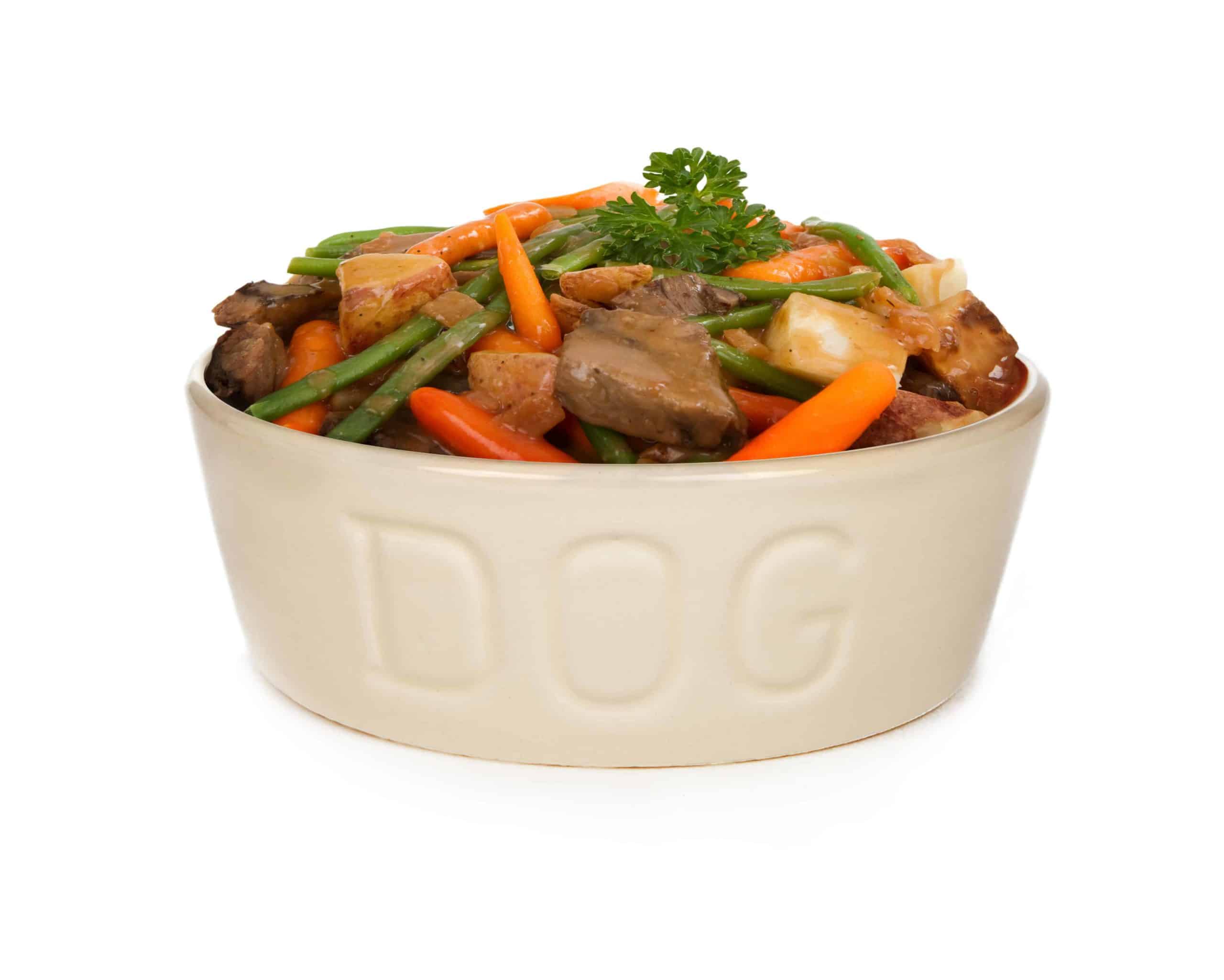 Beef in dog food bowl. Beef is an excellent source of protein for dogs.