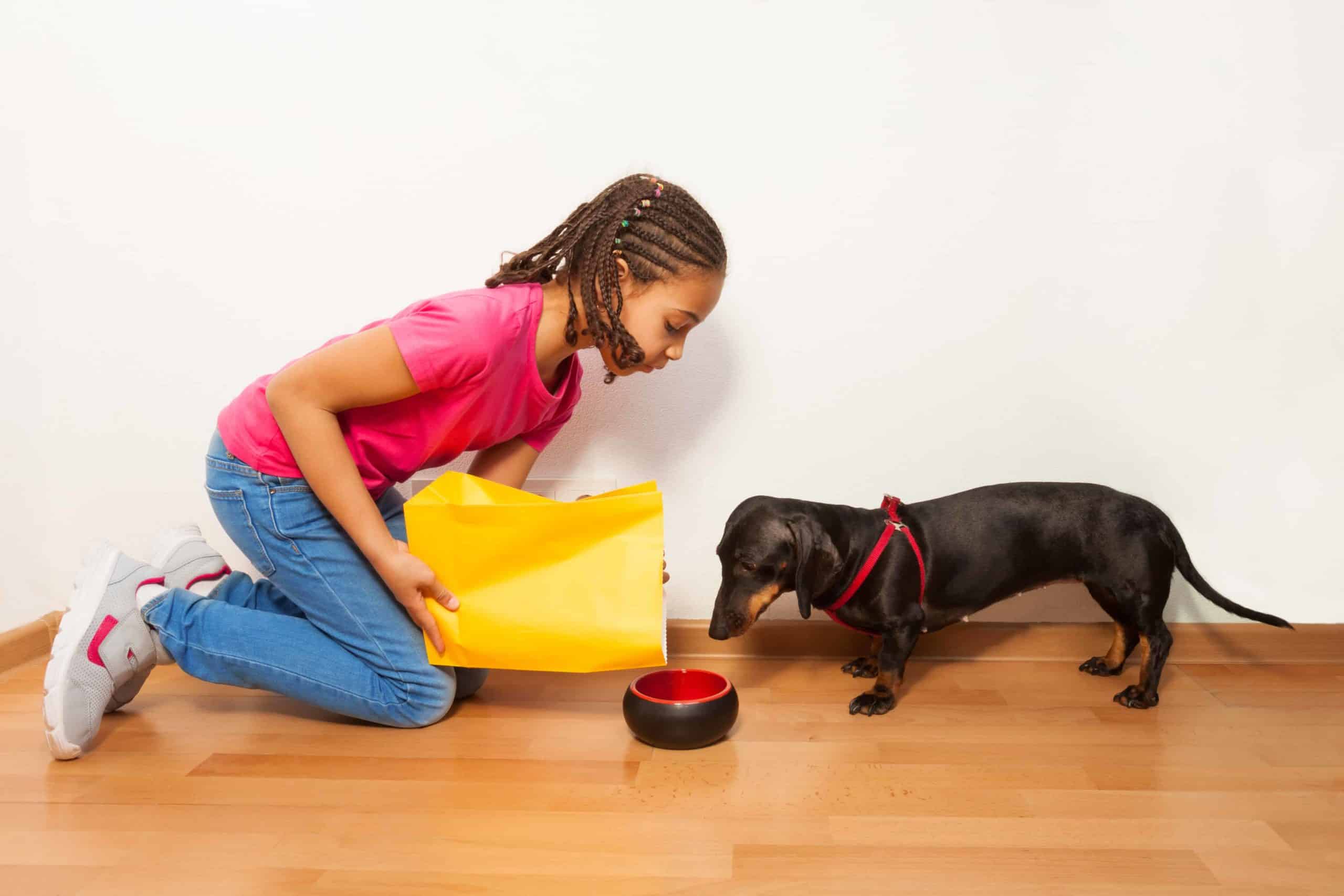 Girl pours food in Dachshund's bowl. The best way to avoid giving your dog wheat flour is to read the label on dog food or treats before purchasing. Wheat flour is one of the most common ingredients in pet food.