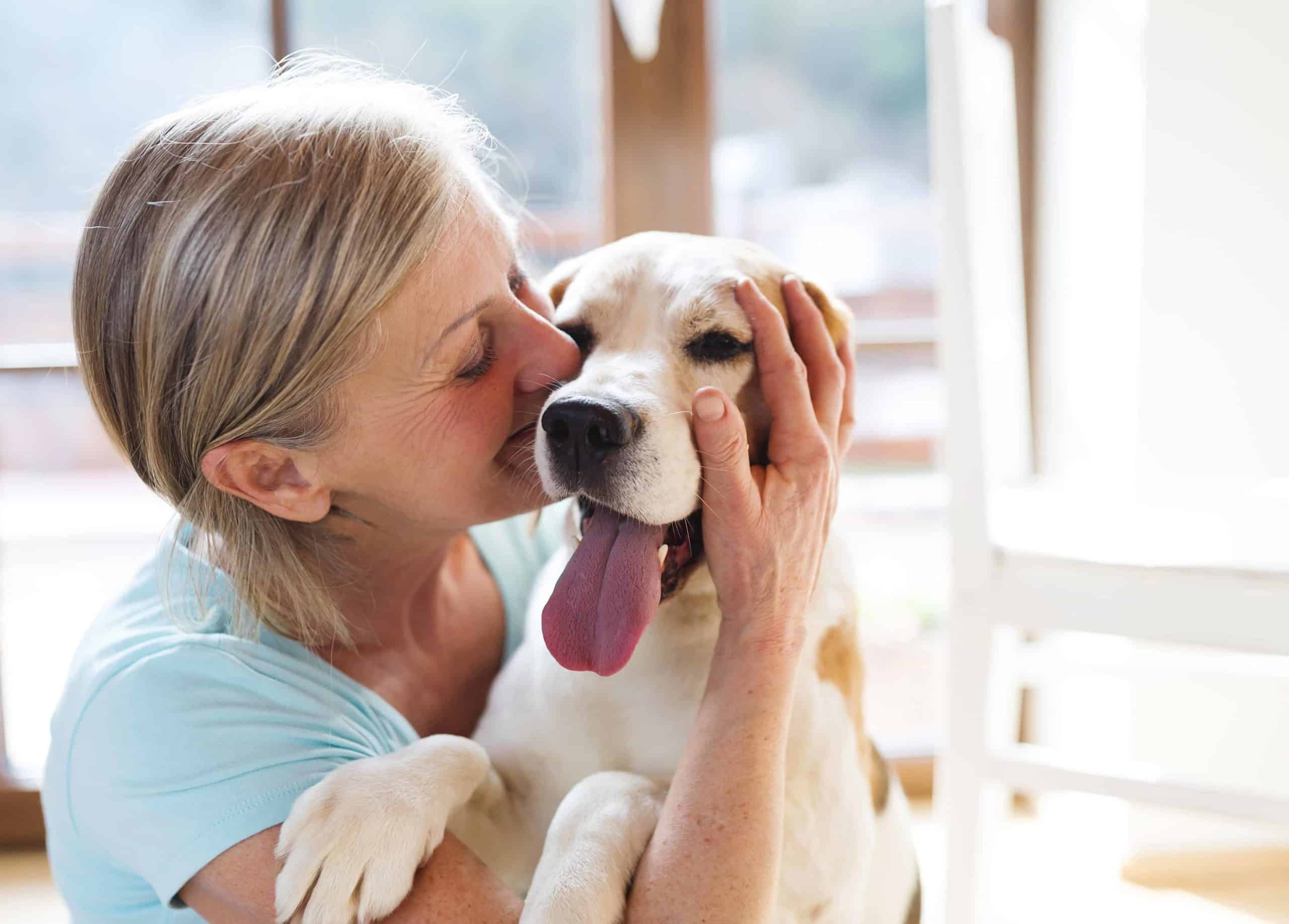 Woman kisses beagle. An ESA letter gives you the legal right to keep your animal in your home, even if your building has a no-pet policy.